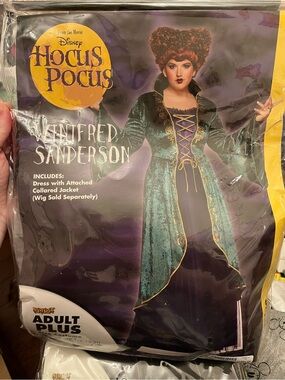 Disney Hocus Pocus Winifred Sanderson Adult Plus Size Costume